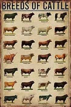 牛 看板 PPSKSL60X45K-USIY｜ポップルスタンド看板シルエット 60×45 片面